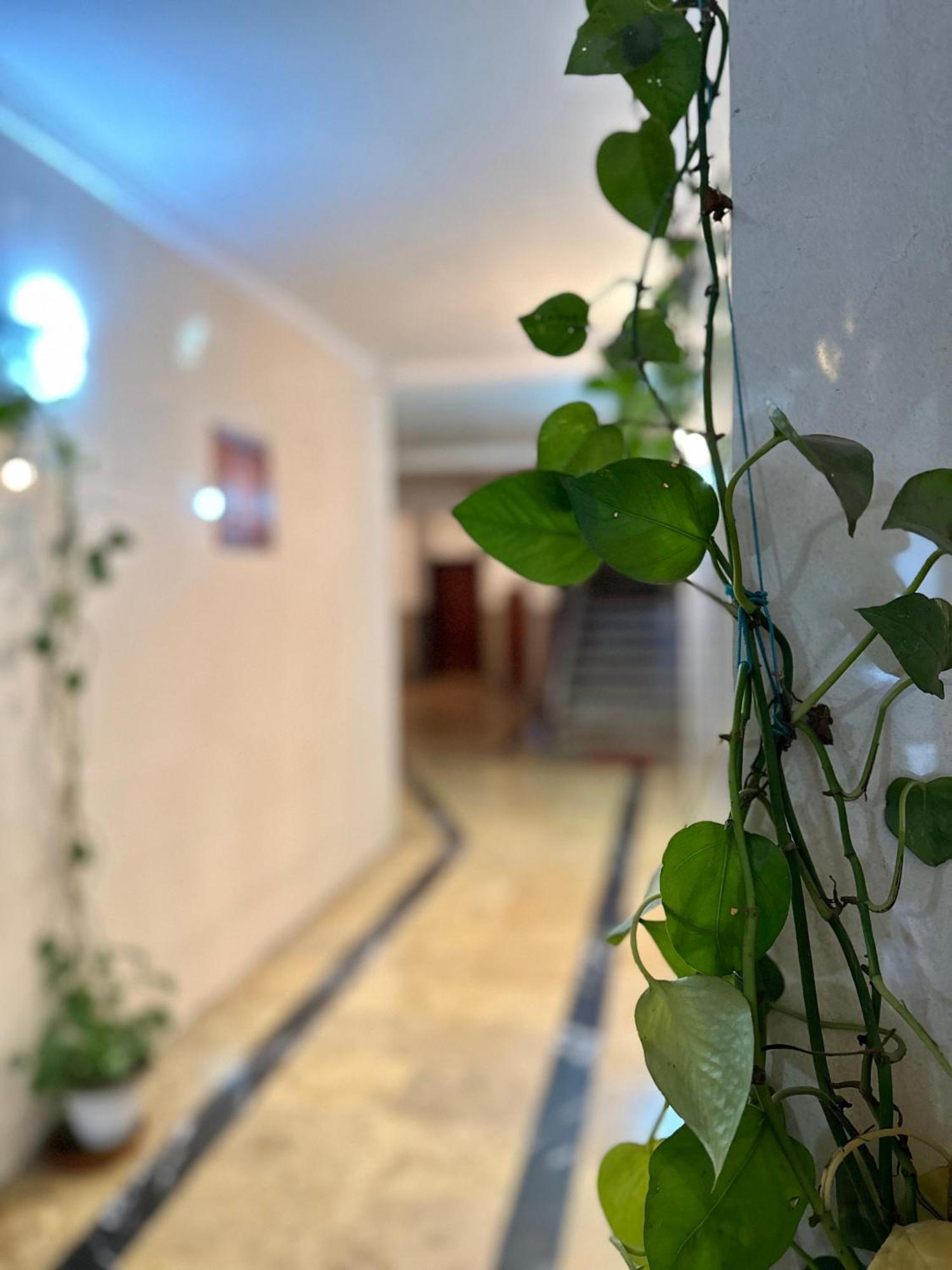 Casa Central Tétouan Exteriér fotografie